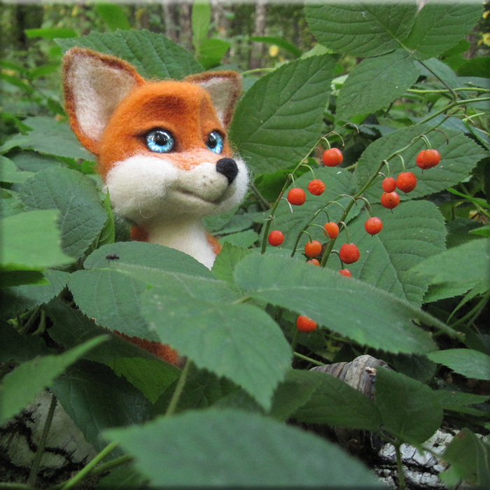 Лисенок | Пикабу