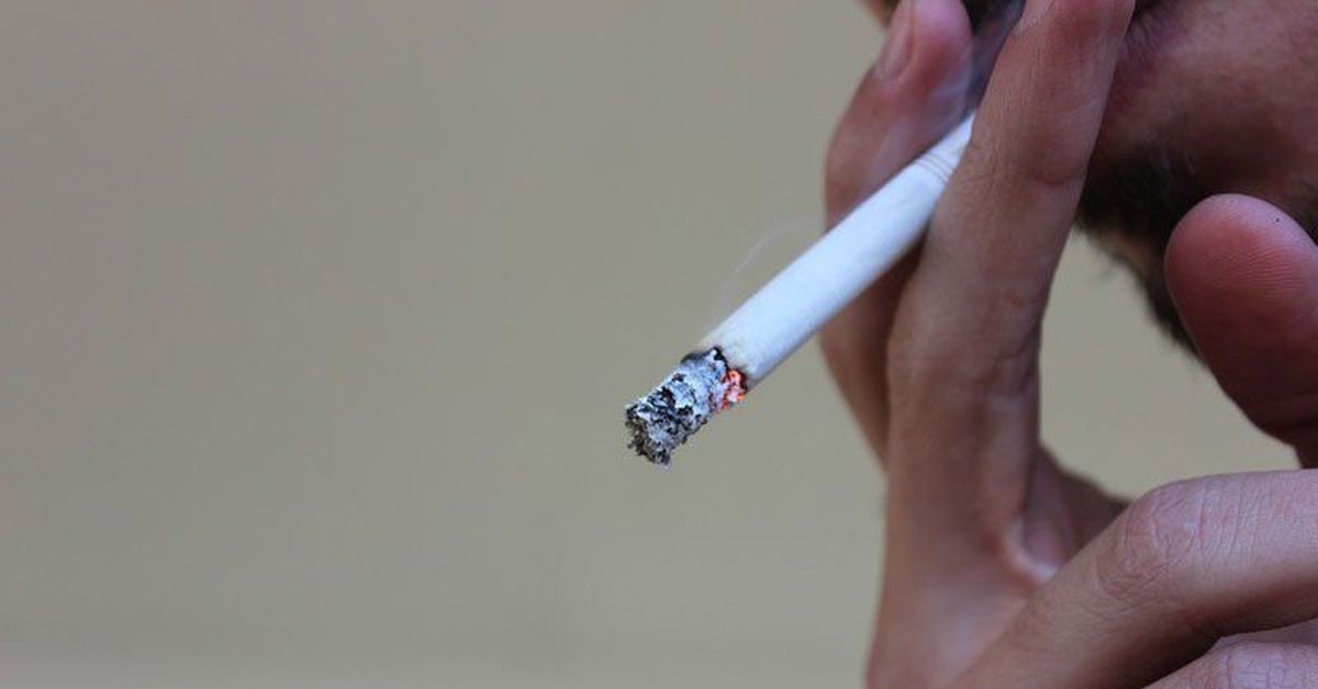 Zenon сигареты. Конфетка за сигаретку. Что курят в Казахстане. К чему снится курить сигарету во сне