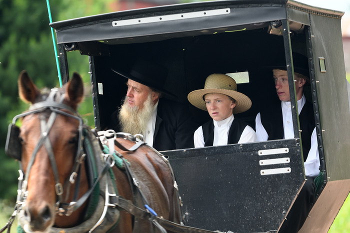 Bl@, I'm Amish - Beard, Horses, Religion, Emotions, Crazy, , Amish