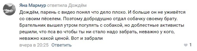 В Орле горожане нашли и наказали парня, избивавшего собаку на видео. Вот только их методы по душе не всем - Живодерство, Собака, Видео, Длиннопост