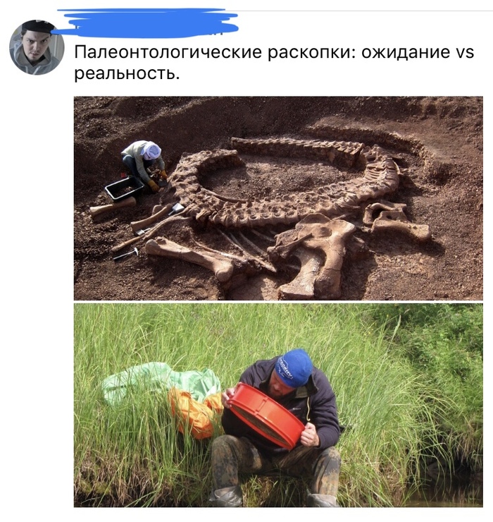 О палеонтологических раскопках