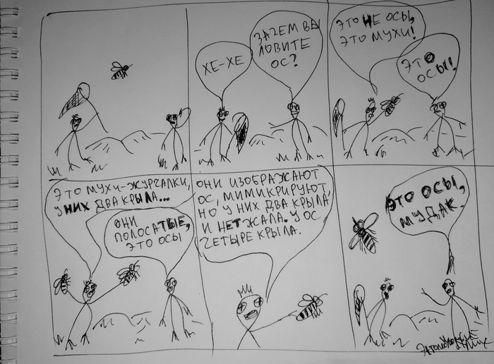 The life of an entomologist - Муха, Wasp, Entomology