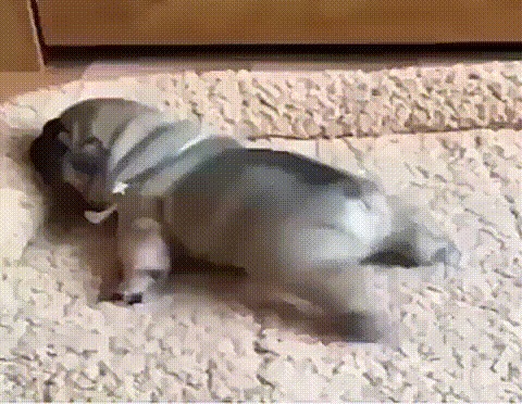 Потягушечки