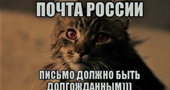 Люблю почту России