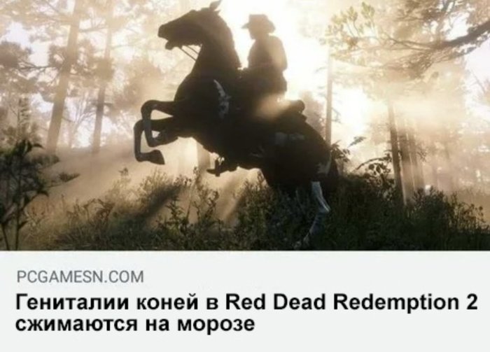 The realism we deserve - People of Horses, Computer games, Realism, , Physics, Red dead redemption