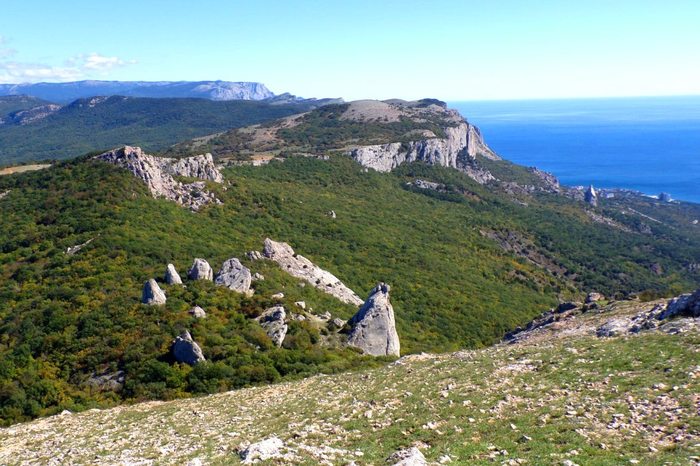 Из жизни Спасательного Отряда.