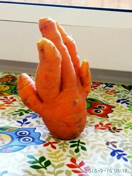 Hello gardeners and gardeners! - Carrot, Garden, Gardening, Hand