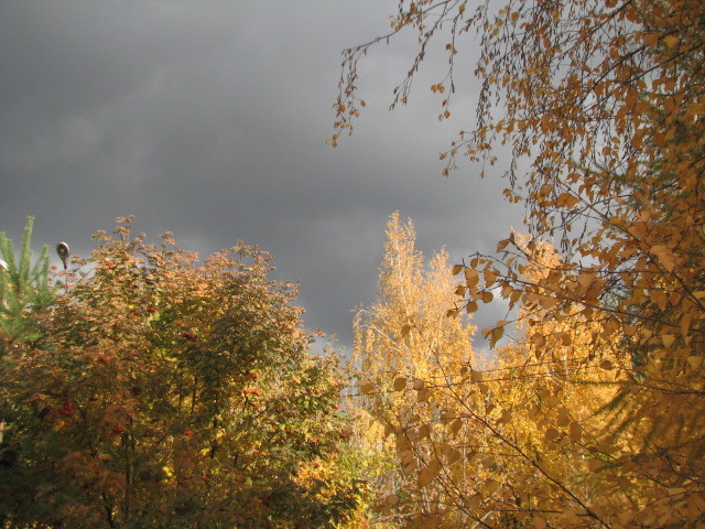 Autumn - My, Autumn, Autumn mood, Longpost