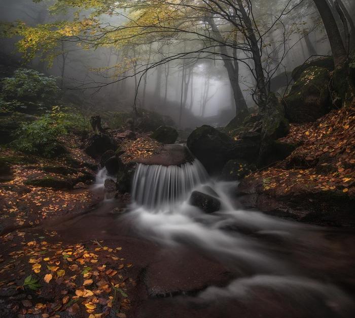 Autumn fog - River, Autumn, The photo, Fog, Forest