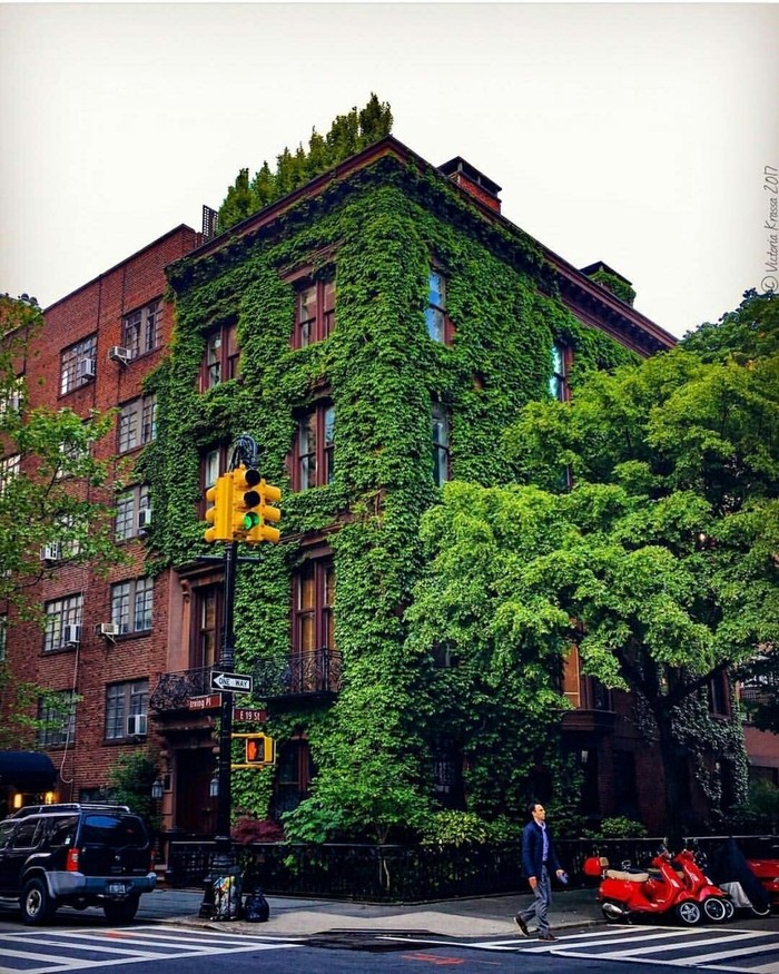Captured by nature, New York. - House, Nature, beauty of nature, Plants, The photo, New York, America, USA