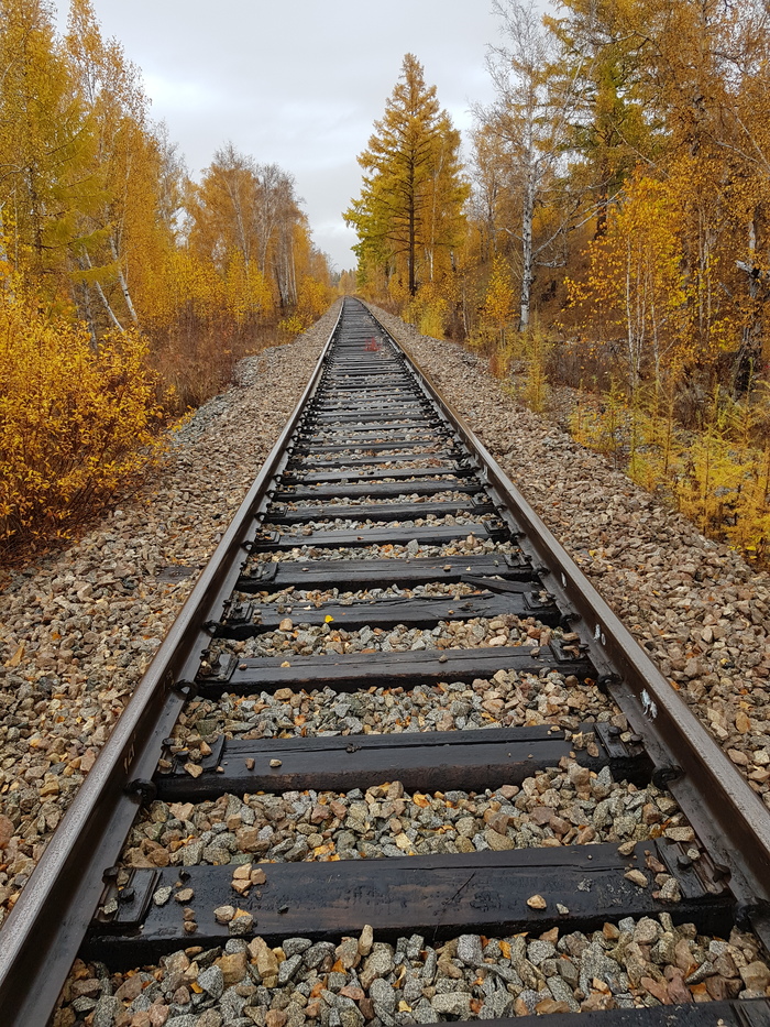 Half-abandoned branch - My, Abandoned, Railway, Transbaikalia