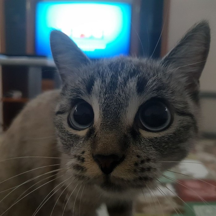        ? , 