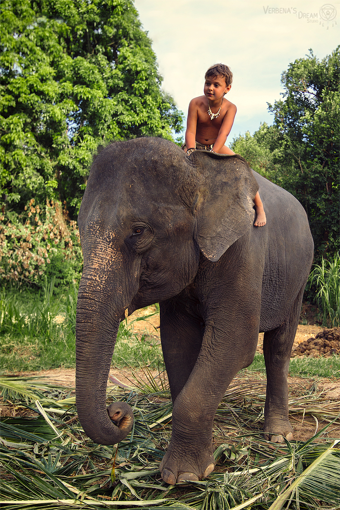 Mauglee by Verbena's Dream Studio ,  , ,  , The Jungle Book, Mauglee, 