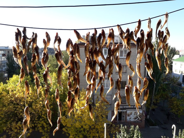 Азовское золото