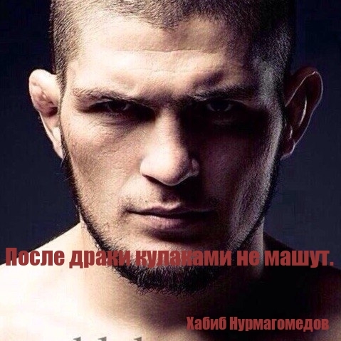 Quotes of famous people - My, Khabib Nurmagomedov, UFC 229, Quotes, Conor McGregor