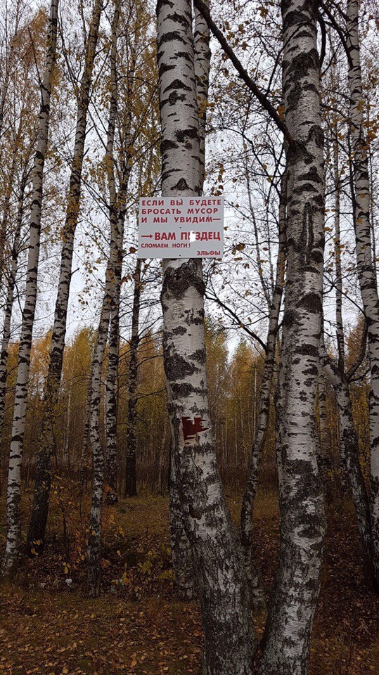 Close to Rybinsk - Elves, Forest, Табличка, Warning, Threat, Garbage