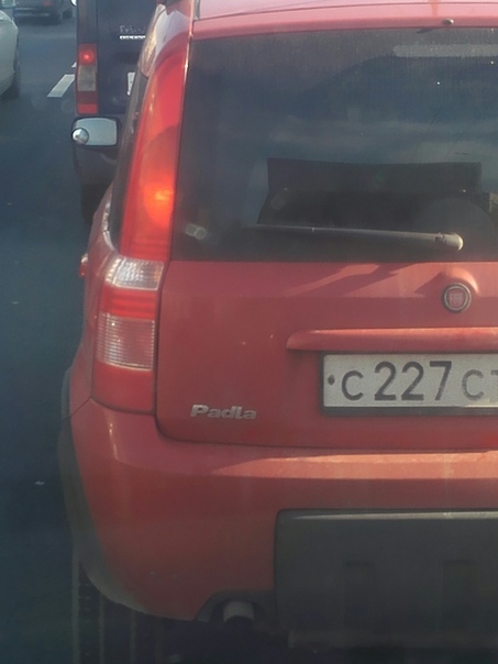 Fiat PANDA)) - My, Fiat, Humor, Panda