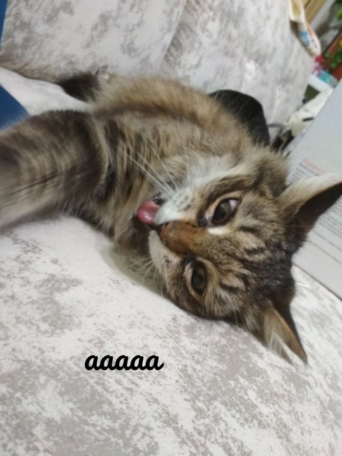   , 