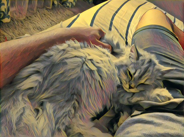 Коту нипочём холода, внутри кота теплота (Когда prisma сработала так, как и ожидал) - Моё, Кот, От кота одна теплота, Prisma, Кото фото, Нейронные сети