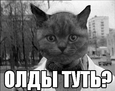 Tuti - Memes, Tuti, Oldfags, cat, Black and white photo