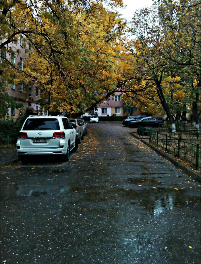 Beautiful rainy autumn day in Makhachkala, Republic of Dagestan. - Autumn, Rain, Nature, beauty of nature, The photo, Dagestan, Russia, HDR