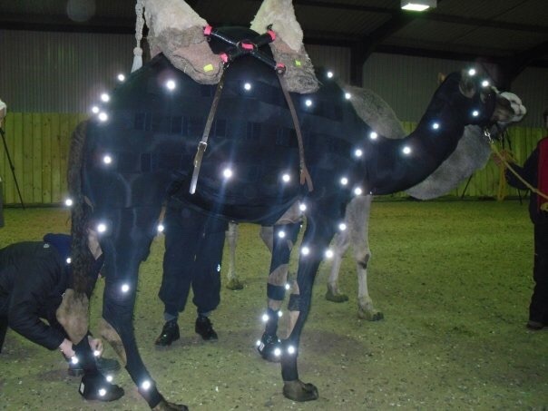 ������� �������