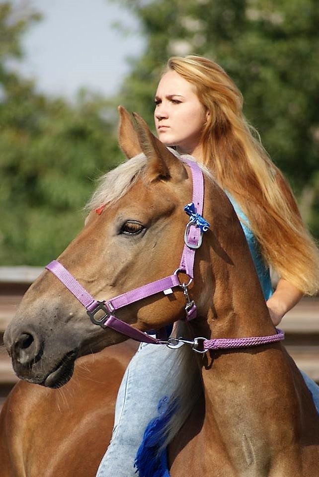 Photoshoot with a horse. Part II: Tips for the Photographer and the Model (from an equestrian) - My, Animals, PHOTOSESSION, Horses, Horseback Riding, Horses, The photo, Longpost