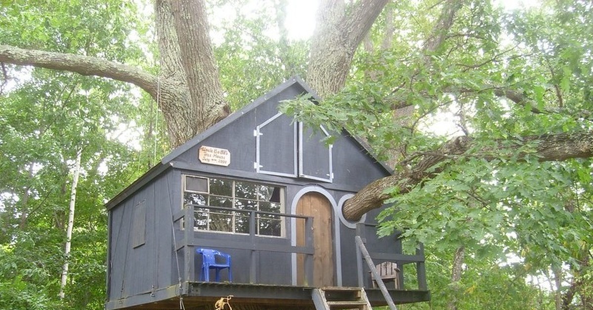 Tree house перевод. Мини домик на дереве. Самые маленькие дома на дереве. Недостроенный домик на дереве. Домик на дереве реальный.