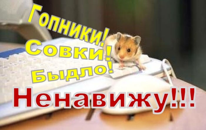 НЕНАВИЖУ!!! ИЛИ ОДИН ДЕНЬ ИЗ ЖИЗНИ ХОМЯЧКА