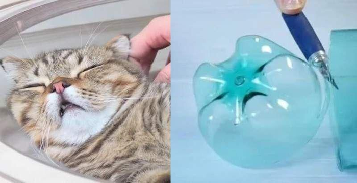 ��� � ���