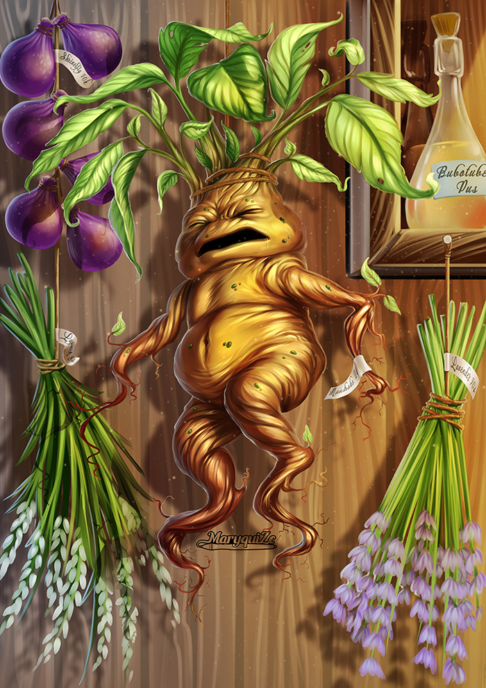 Mandrake - Botanical illustration, Mandrake, 2D, Digital drawing, Fan art, Harry Potter, My, Video