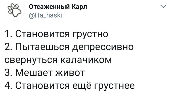 1541674313141158233.jpg