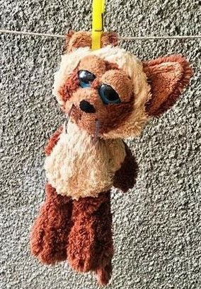 ������� �����