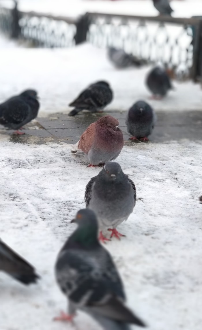 Эпичный кадр