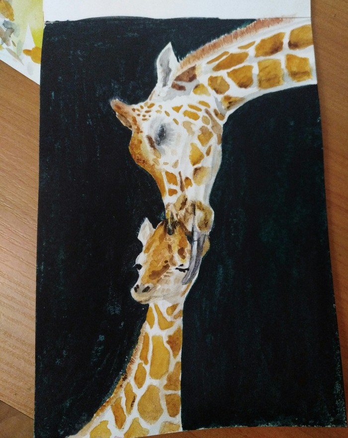 Mom and baby giraffe - My, Watercolor, Learning to draw, Giraffe, Artist, Drawing, Painting