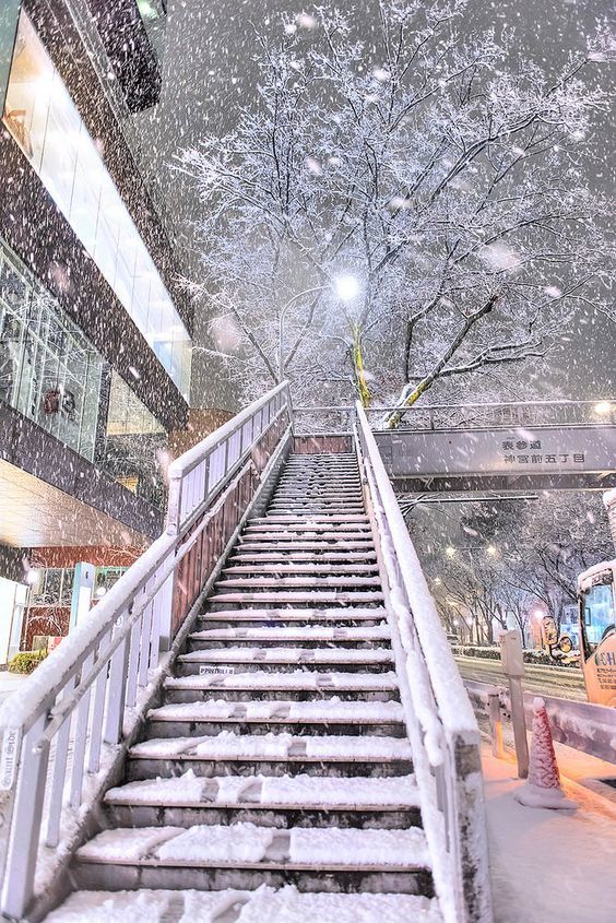 Winter in Tokyo - Winter, Snow, Japan, Tokyo, Longpost