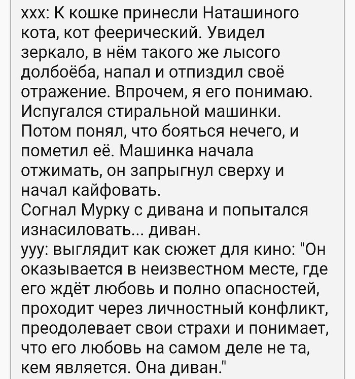 Забавное. Про кота.