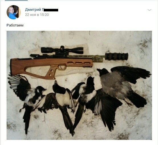 Shooter - Sadism, Shooter, Crow, Longpost