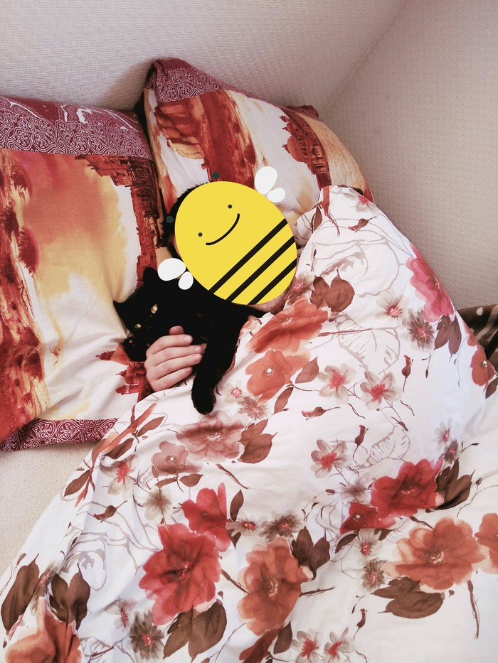 Просто Вася. Просто кот. Кот, Котомафия, Черный кот, Приют для животных, Длиннопост