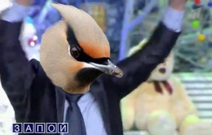 ? ? ? , , , N+1, , 