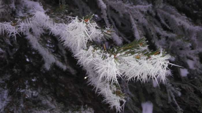 Smolensk. Waiting for Christmas miracles.. - My, Smolensk, Winter, Snow, Longpost