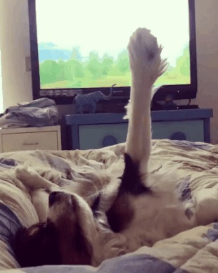 А я сказал "Хоба!"