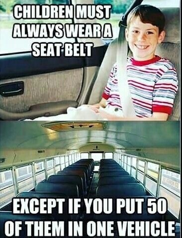 Children must always be seated in the car. - Reddit, Safety belt