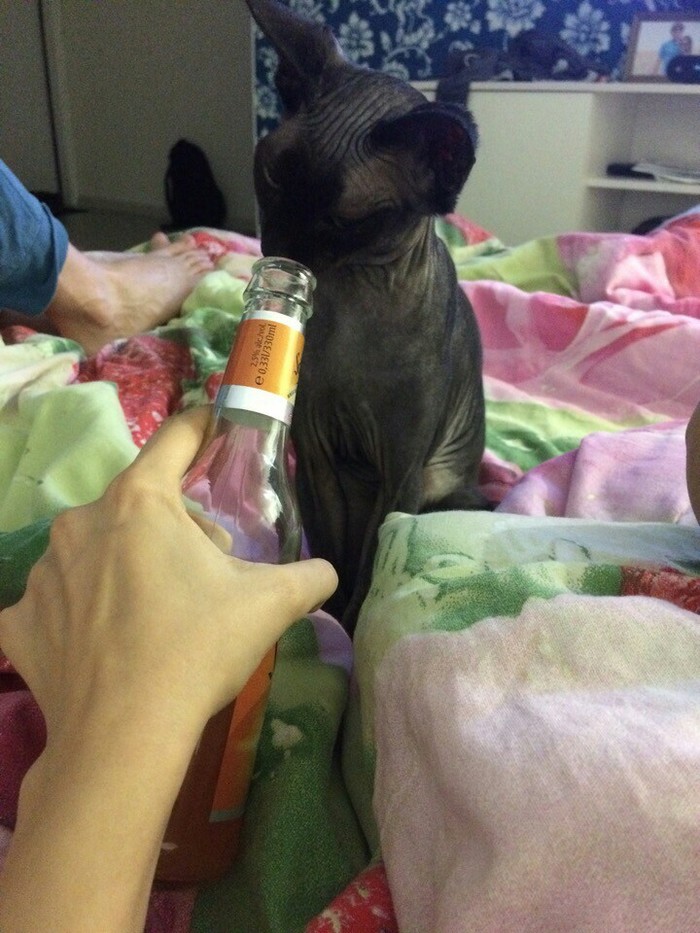 ��� ��������� - ���� � �����