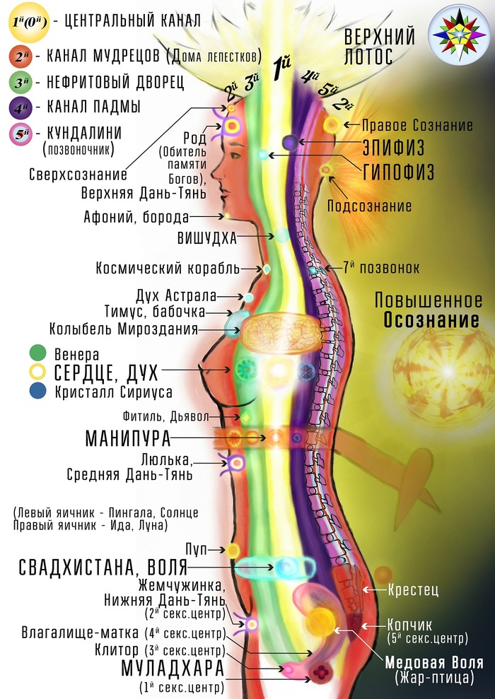 Дорогая ты куда на духовные практики конечно же. Смотреть фото Дорогая ты куда на духовные практики конечно же. Смотреть картинку Дорогая ты куда на духовные практики конечно же. Картинка про Дорогая ты куда на духовные практики конечно же. Фото Дорогая ты куда на духовные практики конечно же