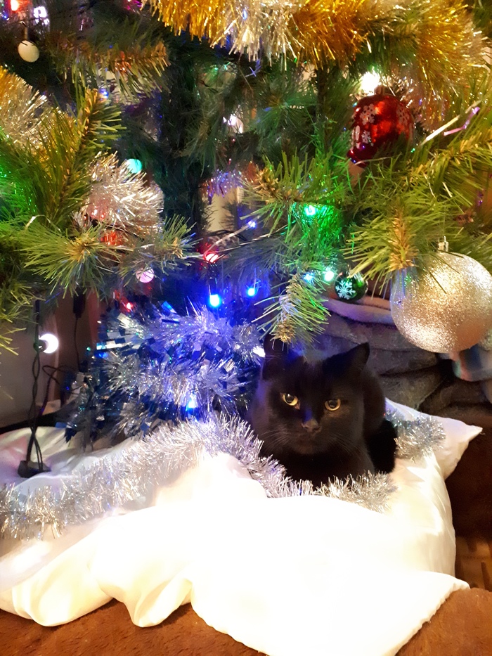 ��� ���������� �������.