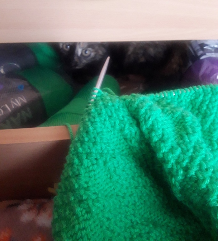 Клубок | Пикабу