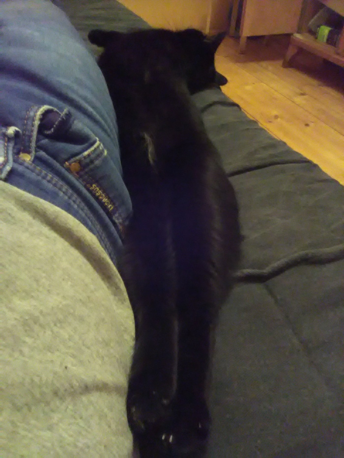 Вот и год заканчивается...