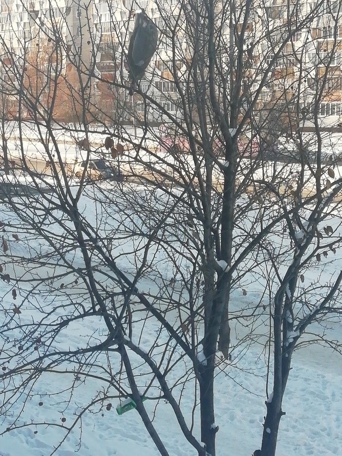 ��� �� ����