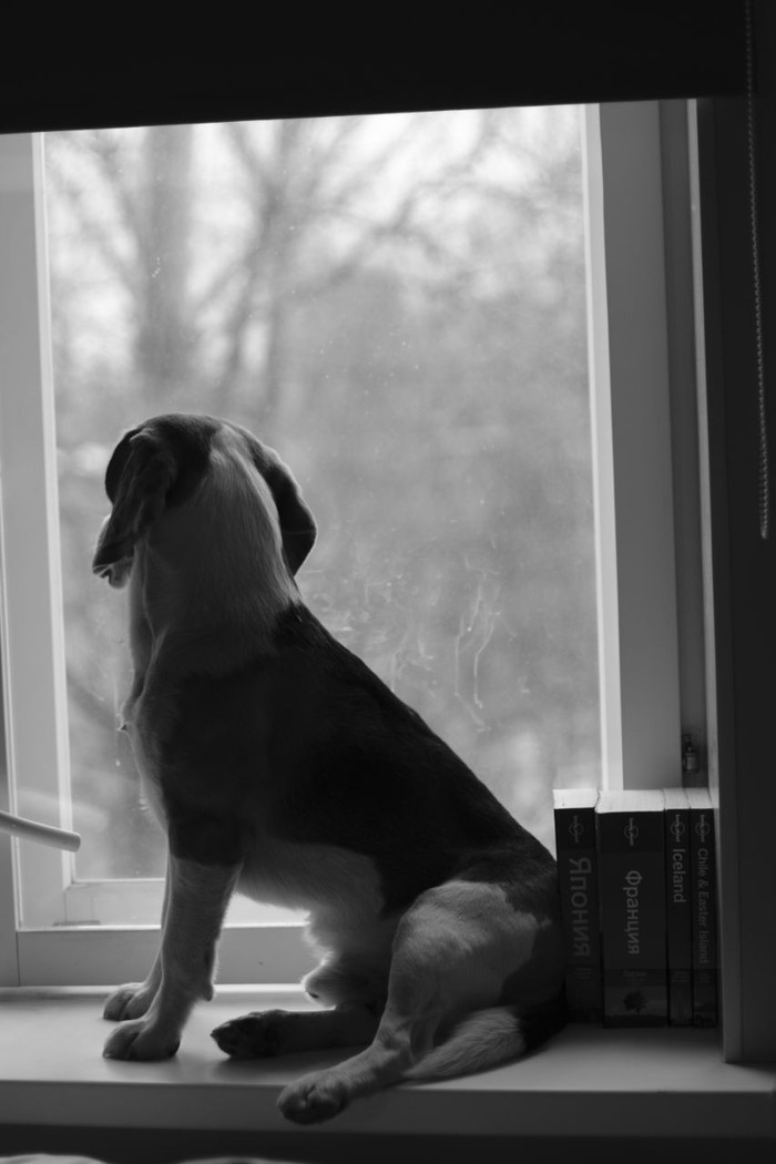 2 ������